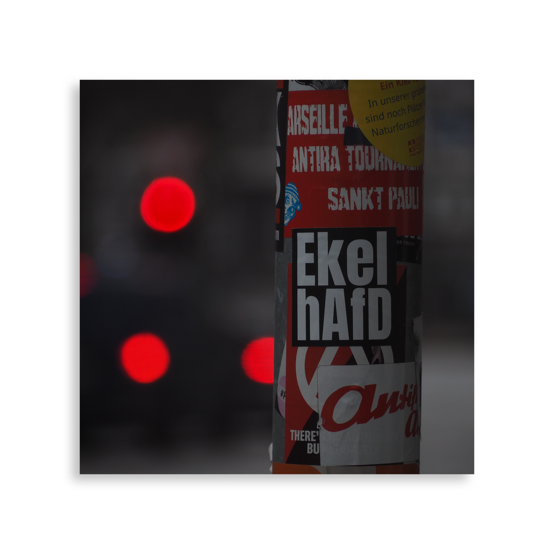 EkelhAfD – Bild 2