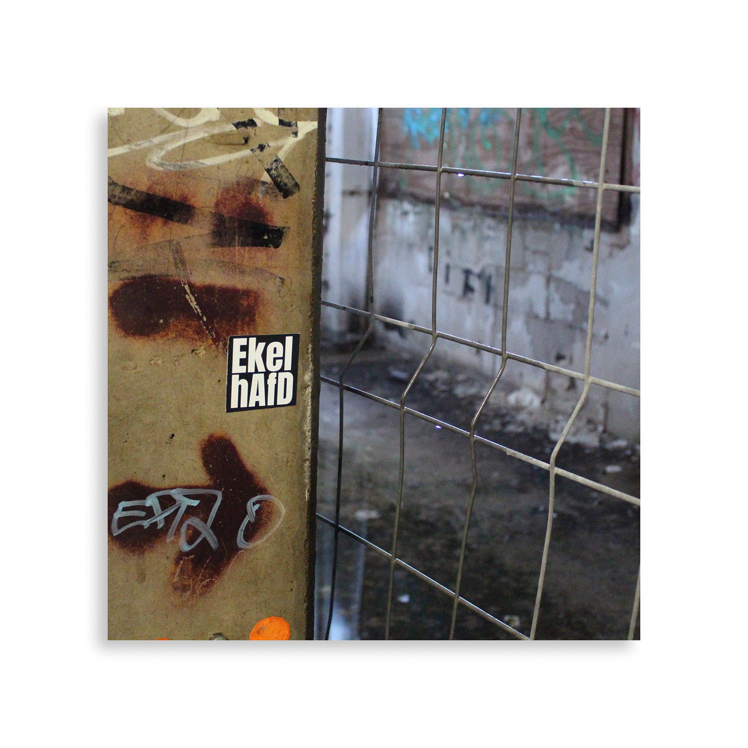 EkelhAfD – Bild 3