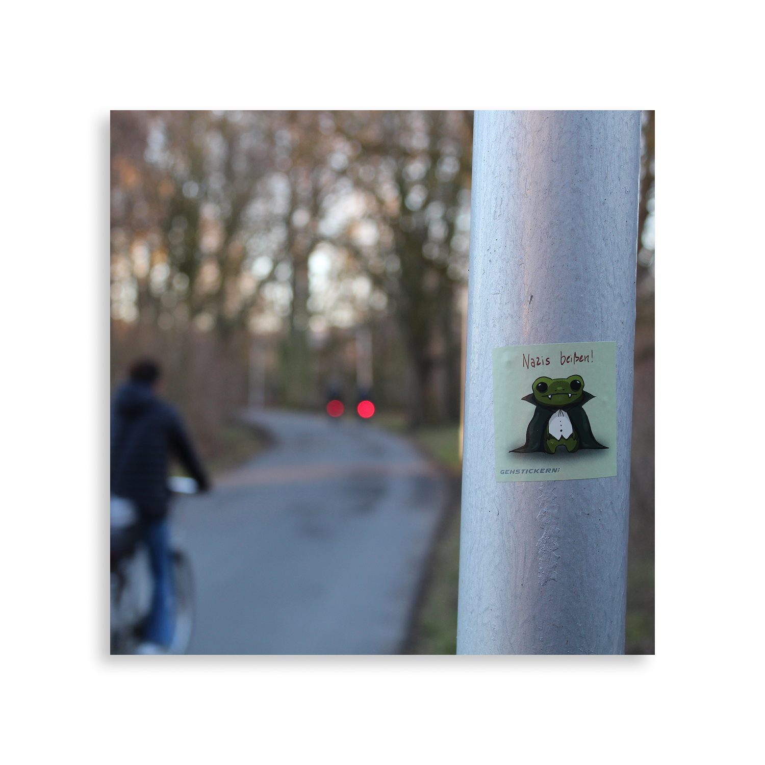 Frosch – Bild 3