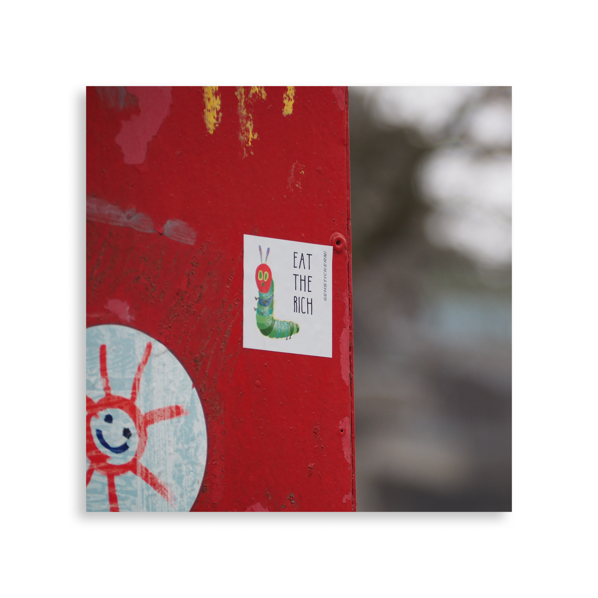 Raupe – Bild 3