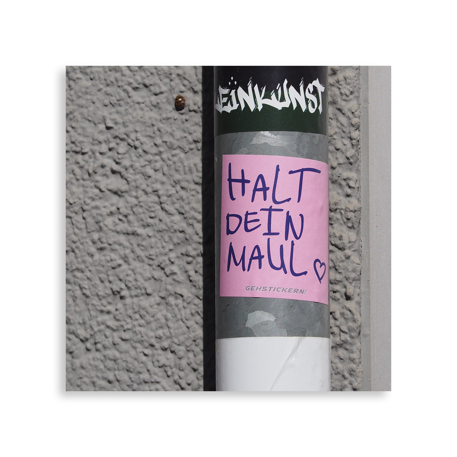 Halt dein Maul – Bild 2